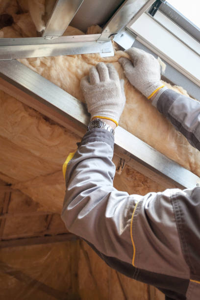 Best Residential Insulation in Silver City, NM